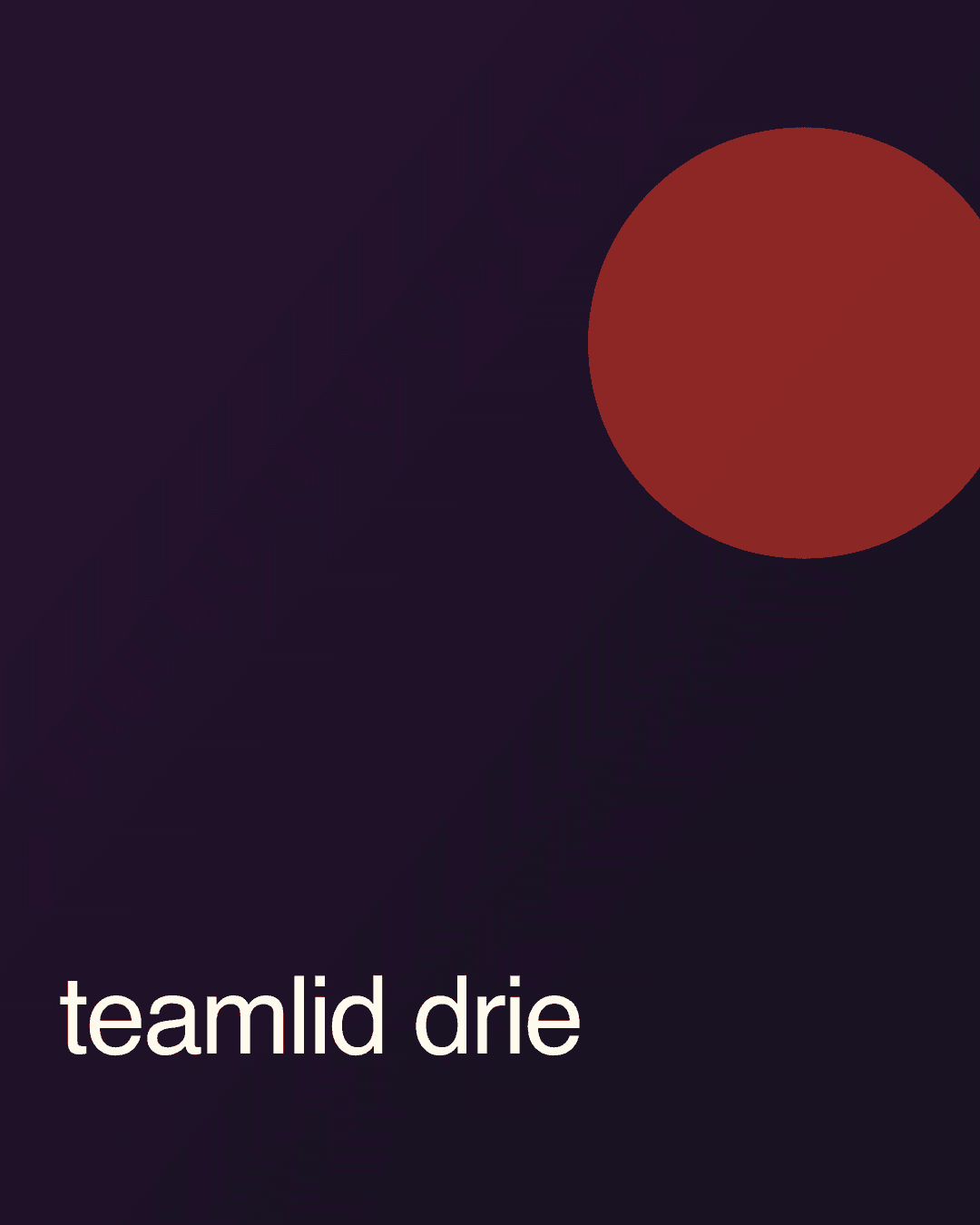Teamlid drie